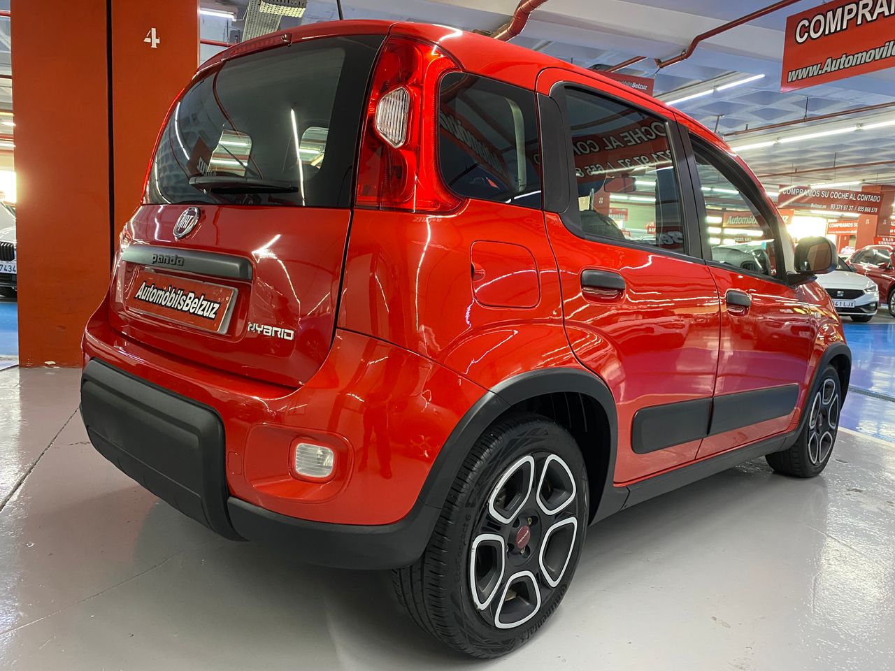 Foto Fiat Panda 6