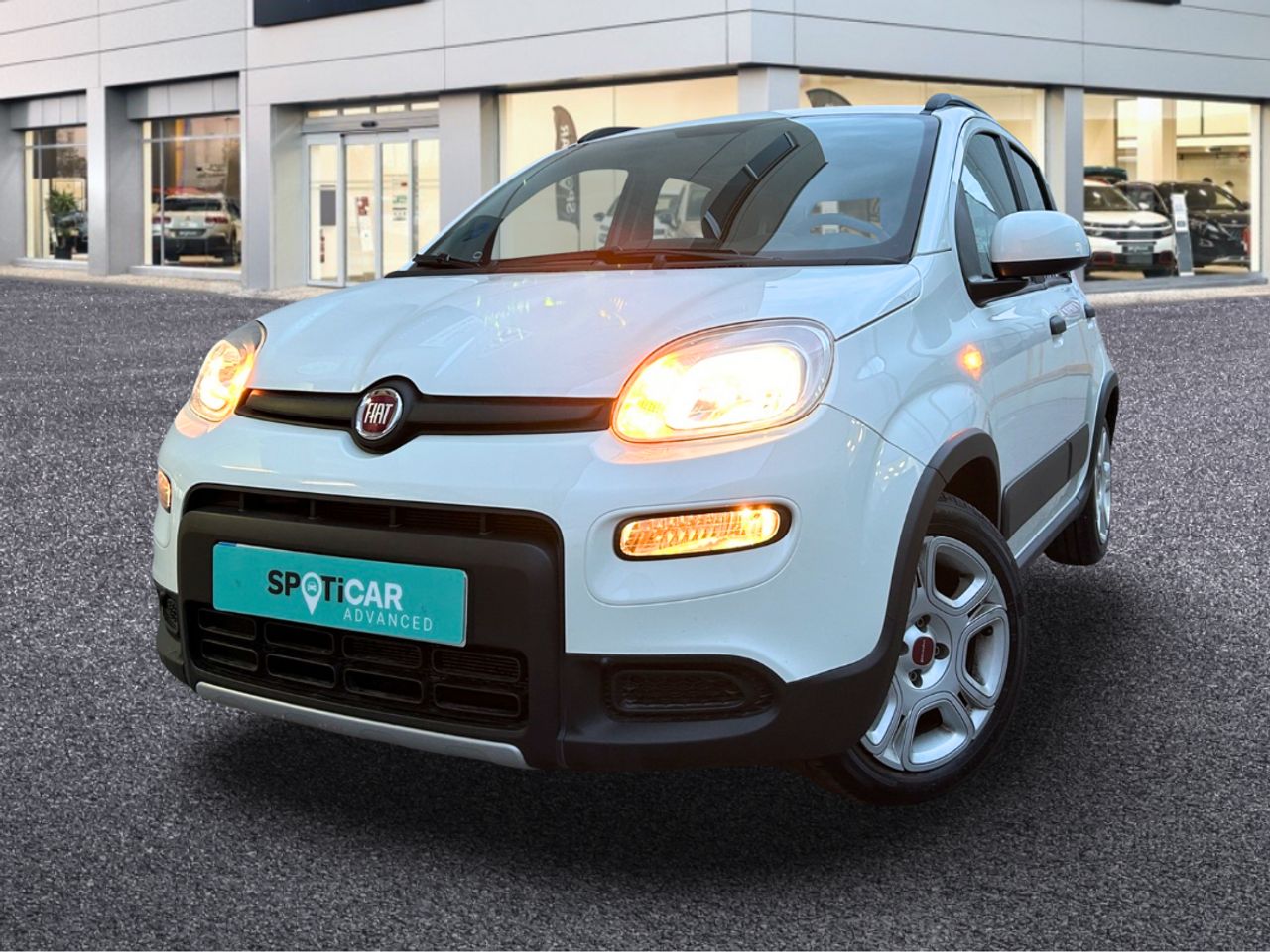 Foto Fiat Panda 22