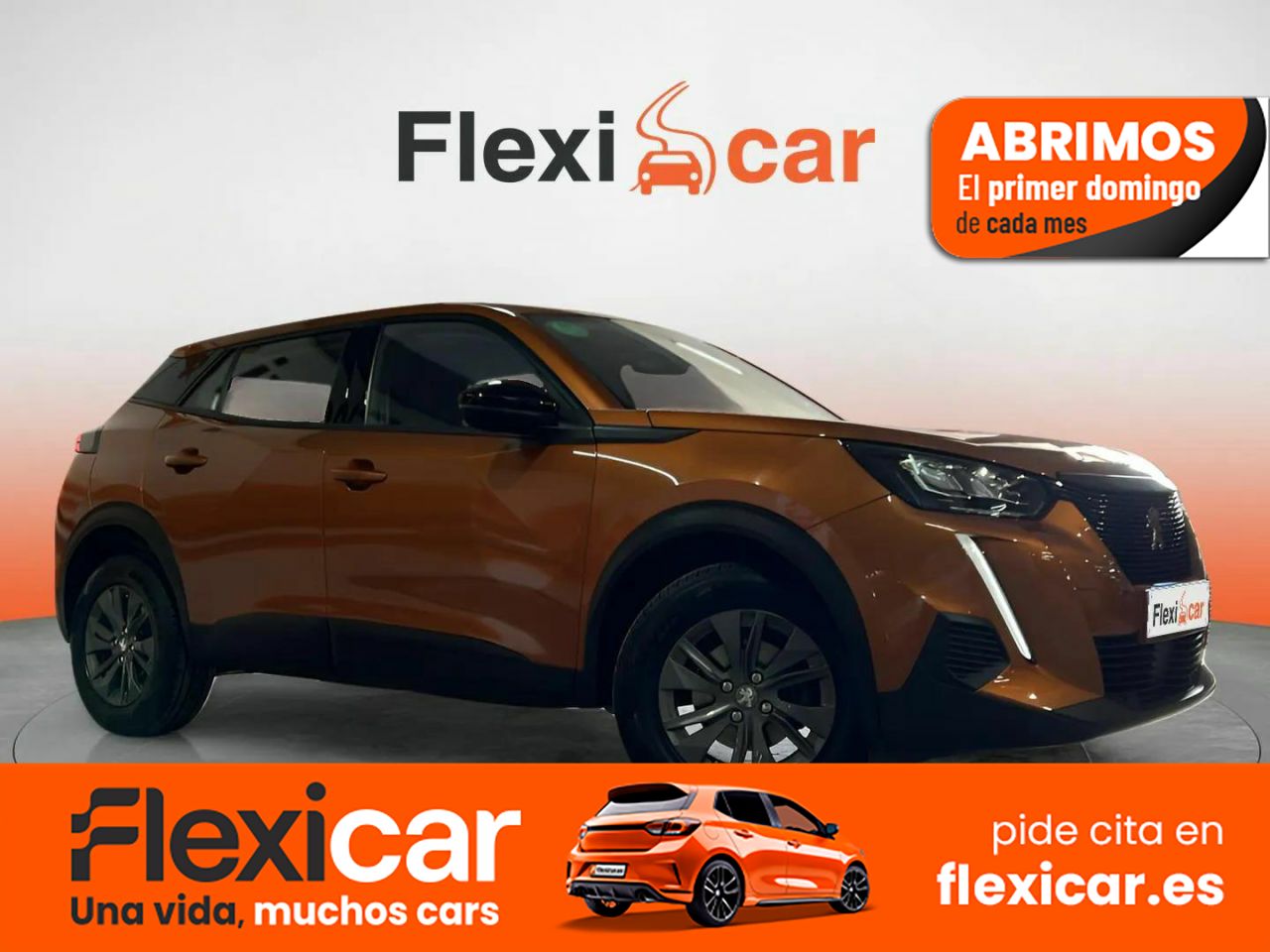 Foto Peugeot 2008 1