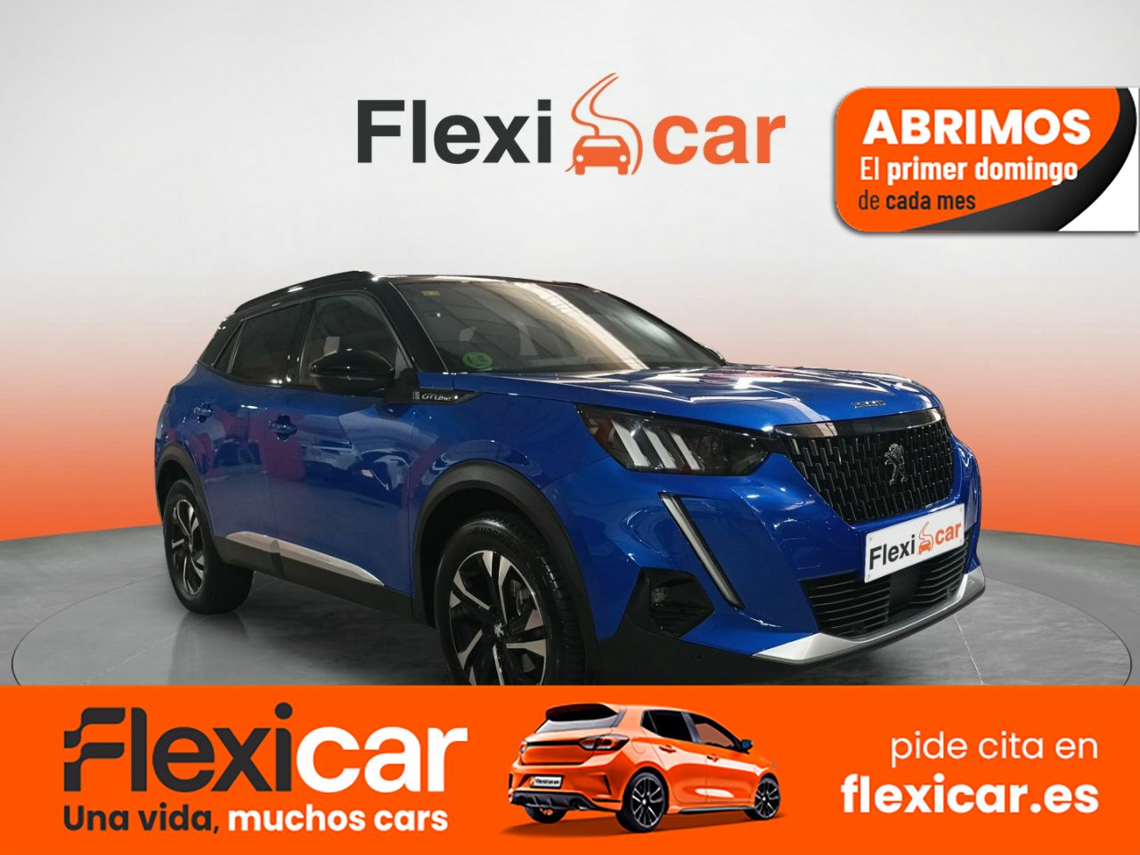 Foto Peugeot 2008 1