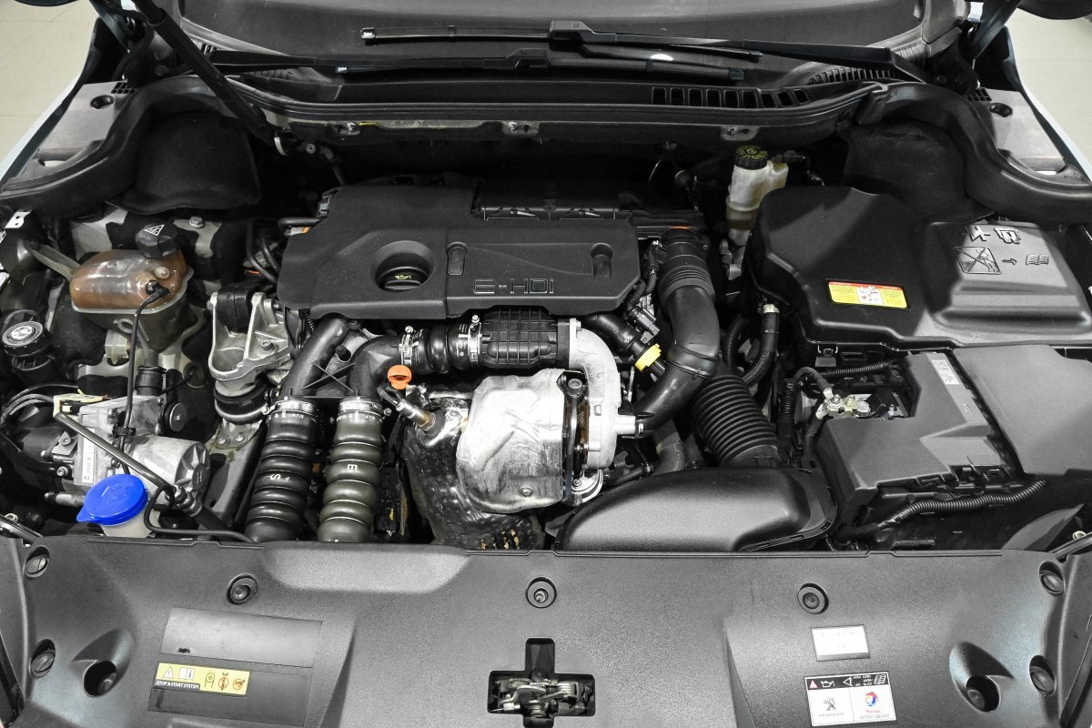 Foto Peugeot 508 7 Foto Peugeot 508 7
