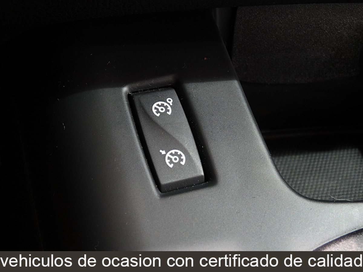 Foto Renault Grand Scénic 30