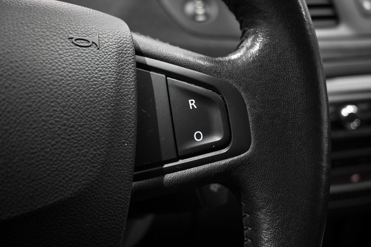 Foto Renault Scénic 22